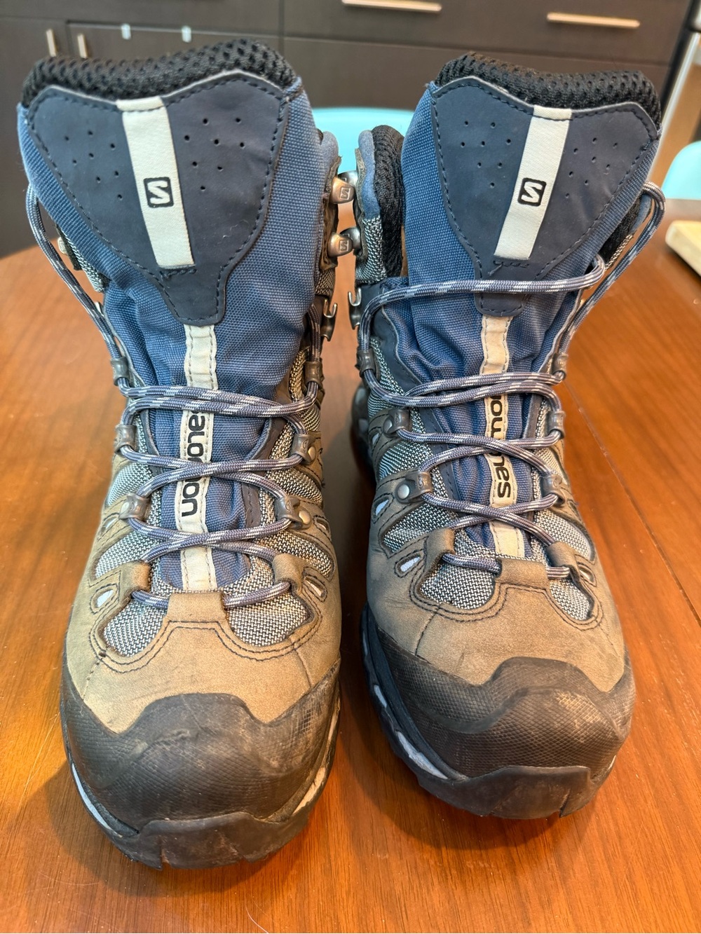 Salomon Quest 4D 2 GTX backpacking boots